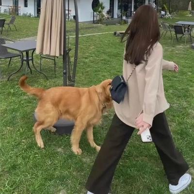 鬼磨坊